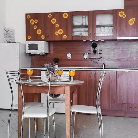 South Vacation ساني بيتش